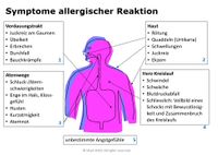 Symptome der allergischen Reaktion